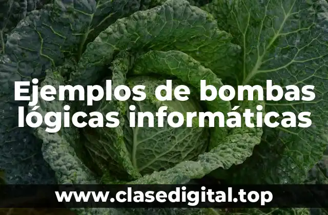Ejemplos de bombas lógicas informáticas