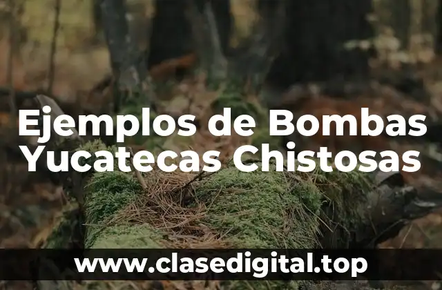 Ejemplos de Bombas Yucatecas Chistosas