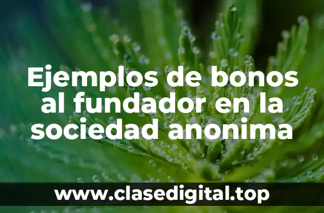 Ejemplos de bonos al fundador en la sociedad anonima