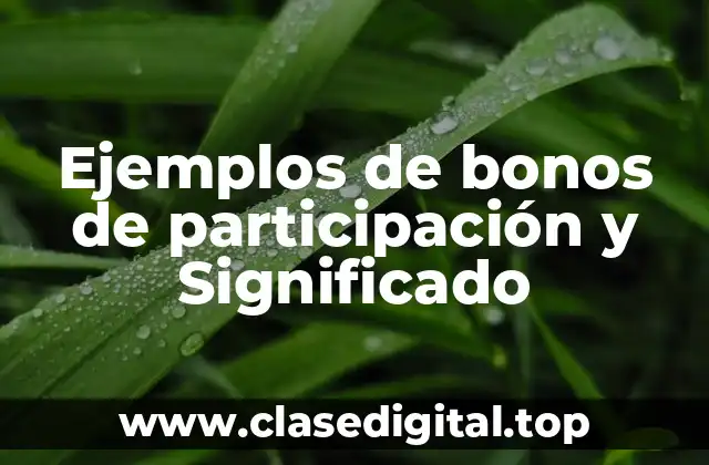 Ejemplos de bonos de participación y Significado
