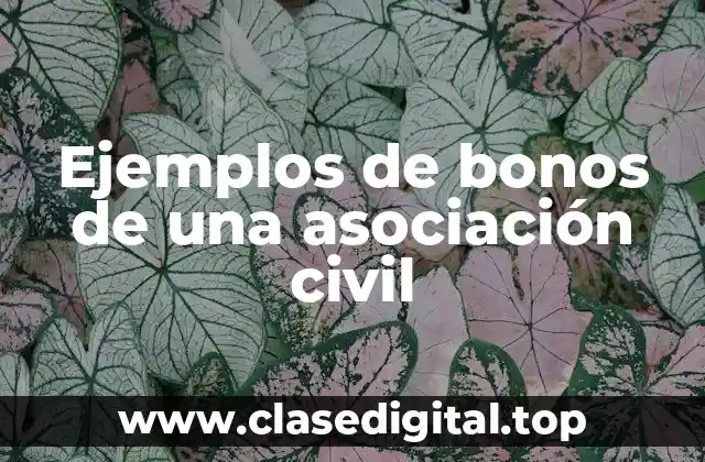 Ejemplos de bonos de una asociación civil