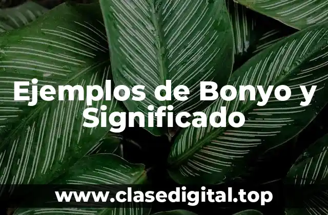 Ejemplos de Bonyo y Significado