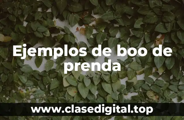 Ejemplos de boo de prenda