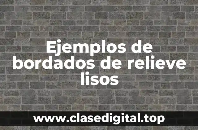 Ejemplos de bordados de relieve lisos