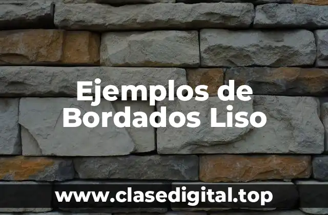 Ejemplos de Bordados Liso