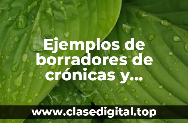 Ejemplos de borradores de crónicas y Significado