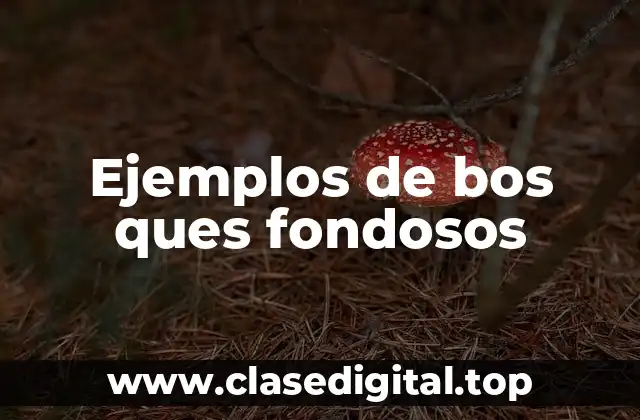 Ejemplos de bos ques fondosos
