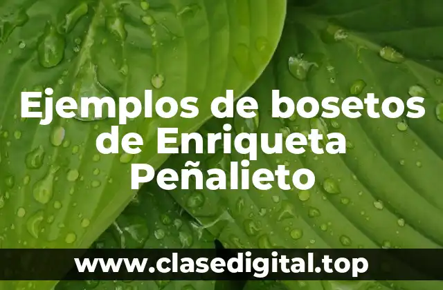 Ejemplos de bosetos de Enriqueta Peñalieto
