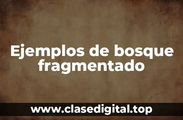 Ejemplos de bosque fragmentado