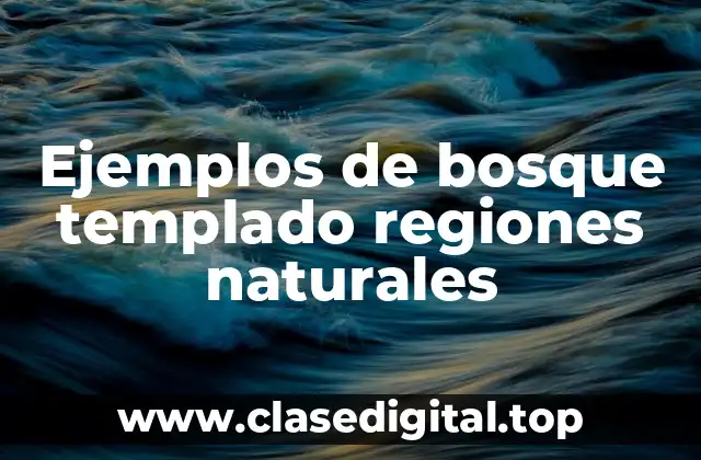 Ejemplos de bosque templado regiones naturales