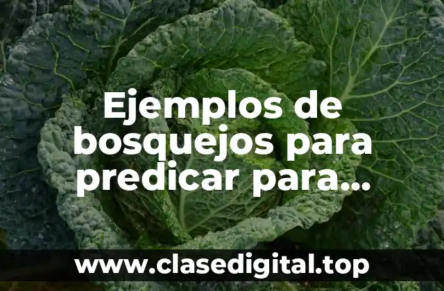 Ejemplos de bosquejos para predicar para principiantes