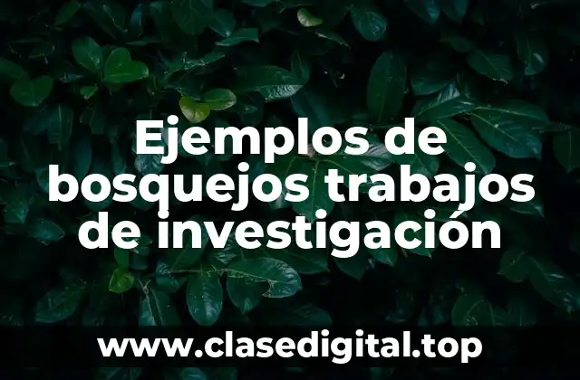 Ejemplos de bosquejos trabajos de investigación