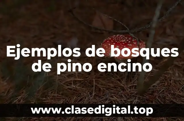 Ejemplos de bosques de pino encino