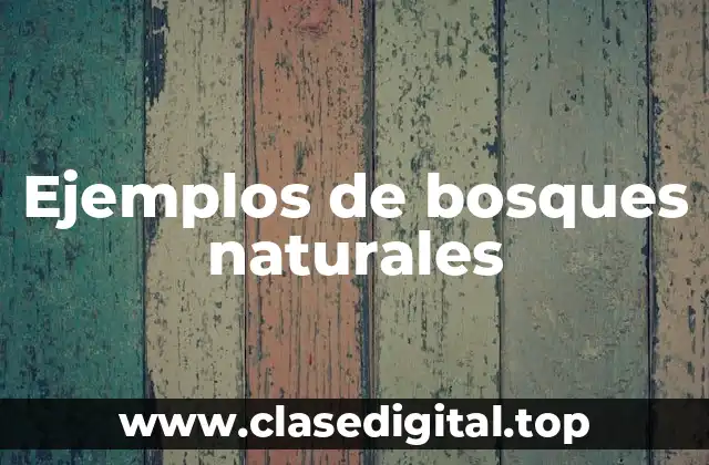 Ejemplos de bosques naturales