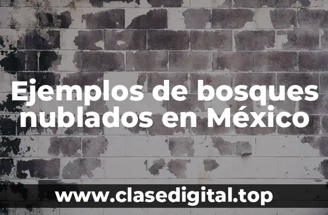 Ejemplos de bosques nublados en México