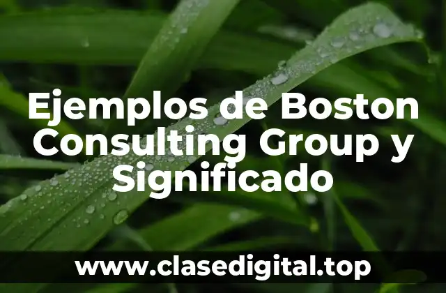 Ejemplos de Boston Consulting Group y Significado