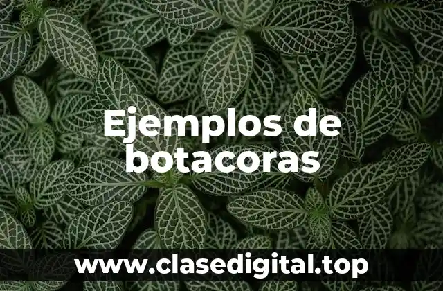 Ejemplos de botacoras
