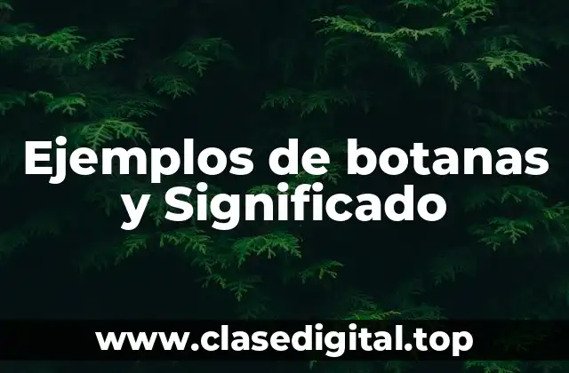 Ejemplos de botanas y Significado
