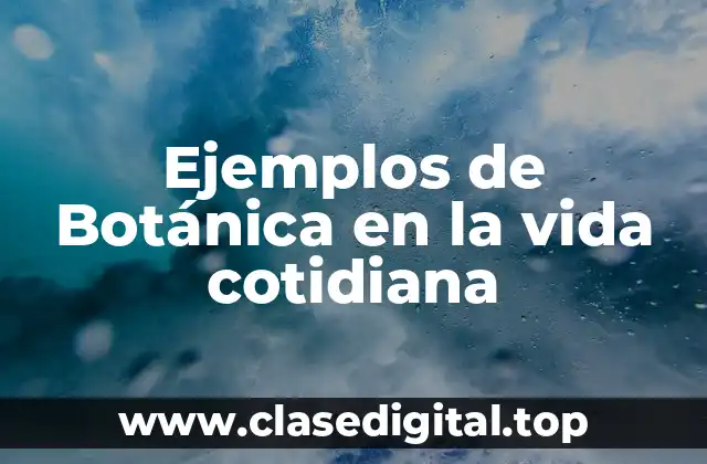 Ejemplos de Botánica en la vida cotidiana