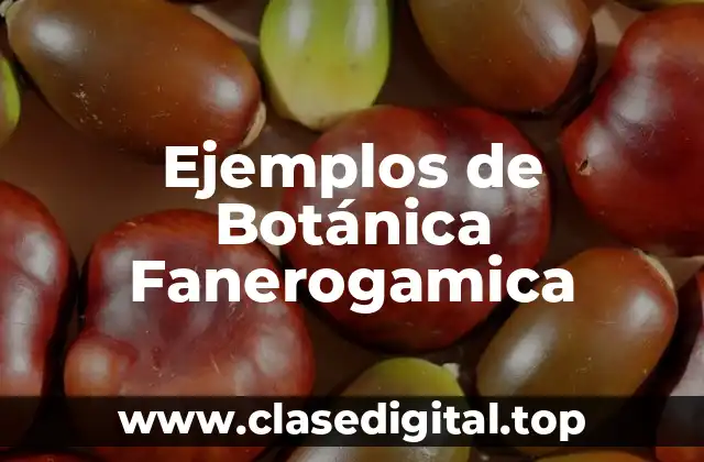 Ejemplos de Botánica Fanerogamica