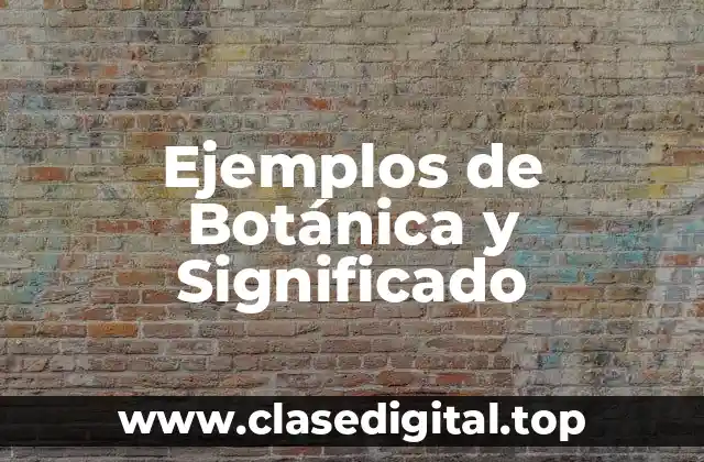 Ejemplos de Botánica y Significado