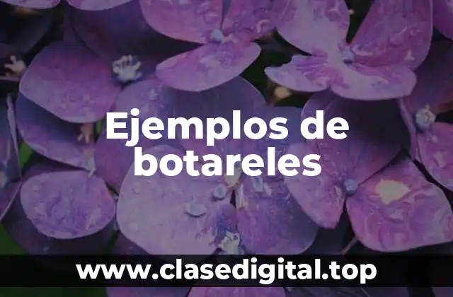 Ejemplos de botareles