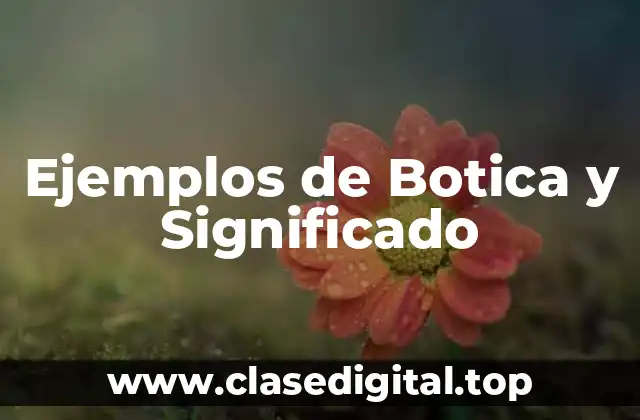 Ejemplos de Botica y Significado