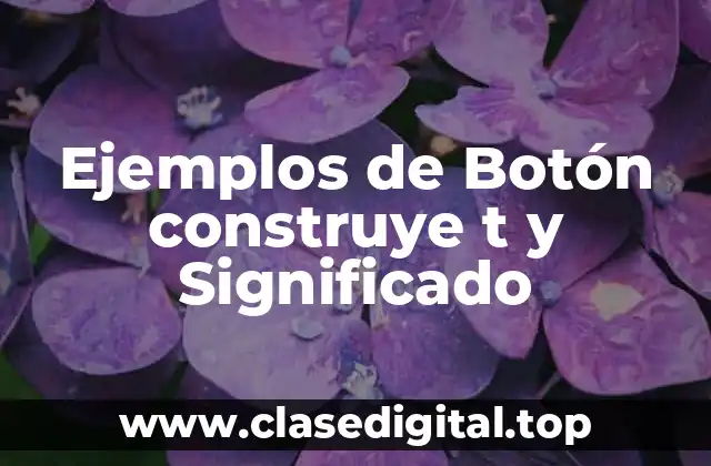 Ejemplos de Botón construye t y Significado