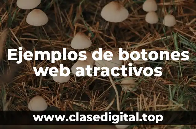 Ejemplos de botones web atractivos