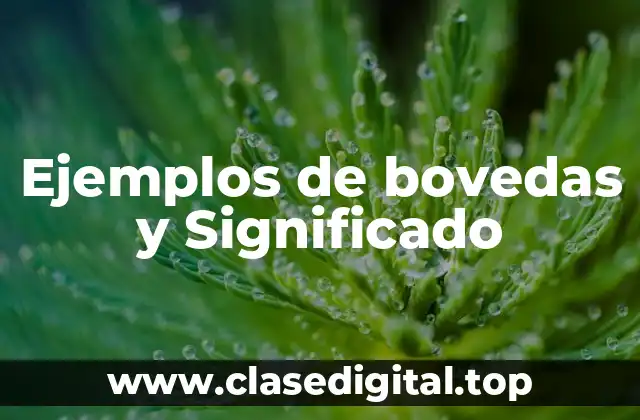 Ejemplos de bovedas y Significado