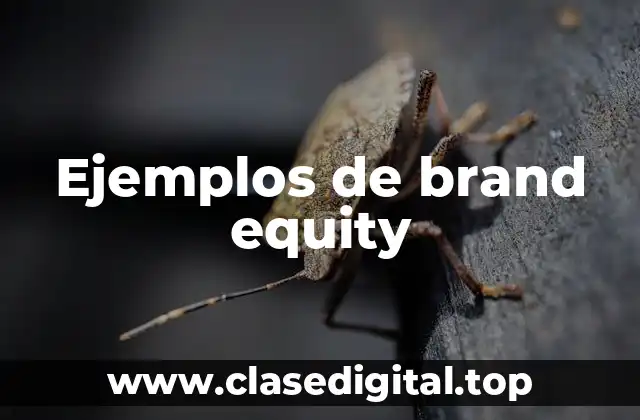 Ejemplos de brand equity