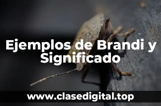 Ejemplos de Brandi y Significado