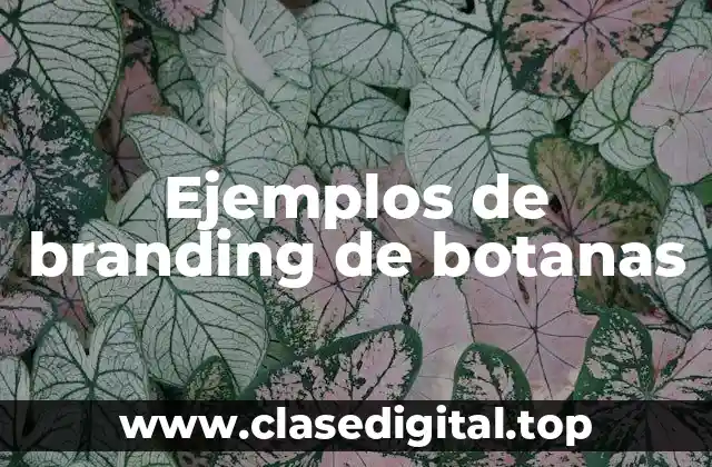 Ejemplos de branding de botanas