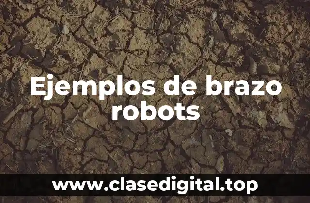 Ejemplos de brazo robots