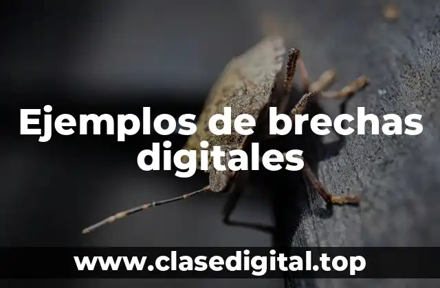 Ejemplos de brechas digitales