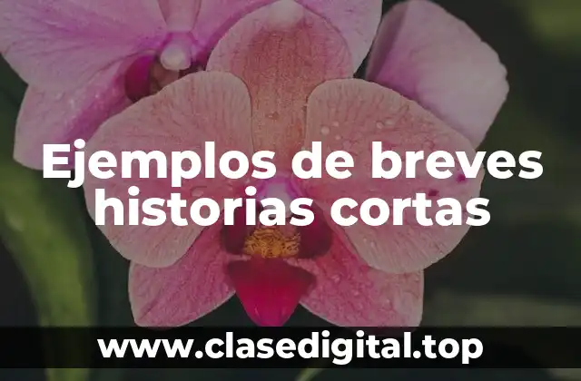 Ejemplos de breves historias cortas