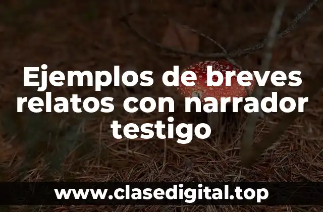 Ejemplos de breves relatos con narrador testigo