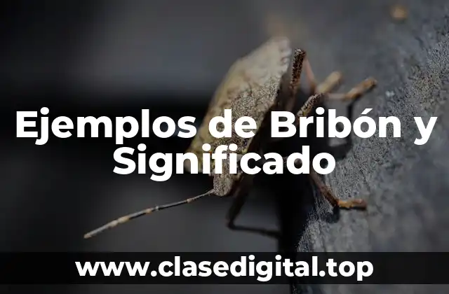 Ejemplos de Bribón y Significado