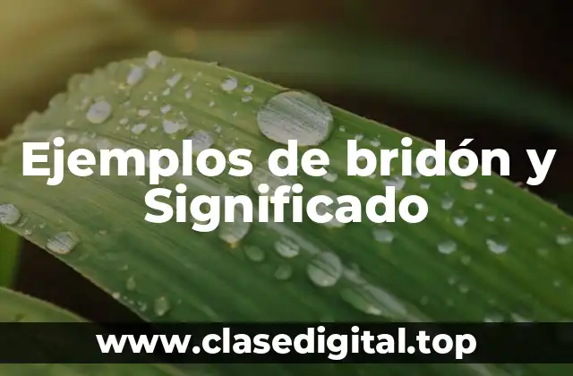 Ejemplos de bridón y Significado