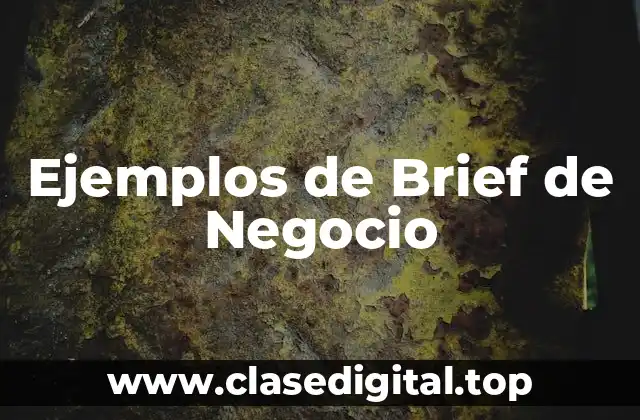 Ejemplos de Brief de Negocio