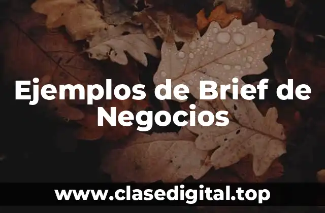 Ejemplos de Brief de Negocios