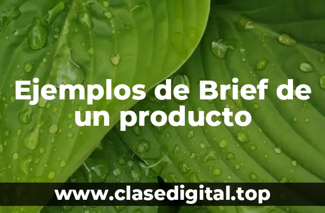 Ejemplos de Brief de un producto