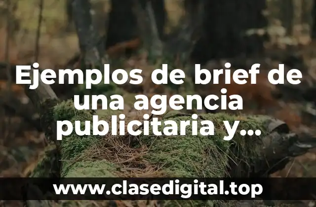 Ejemplos de brief de una agencia publicitaria y Significado