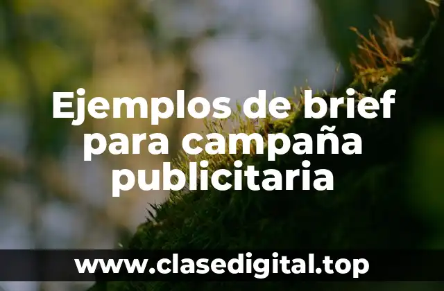 Ejemplos de brief para campaña publicitaria