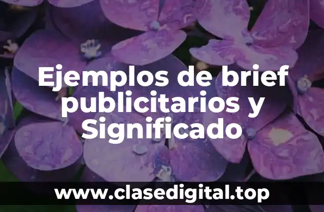 Ejemplos de brief publicitarios