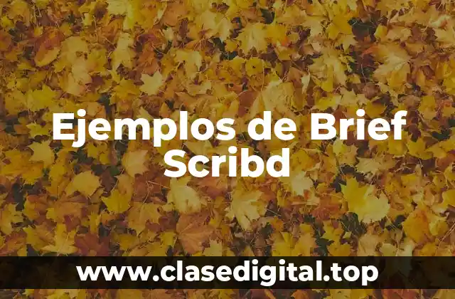 Ejemplos de Brief Scribd