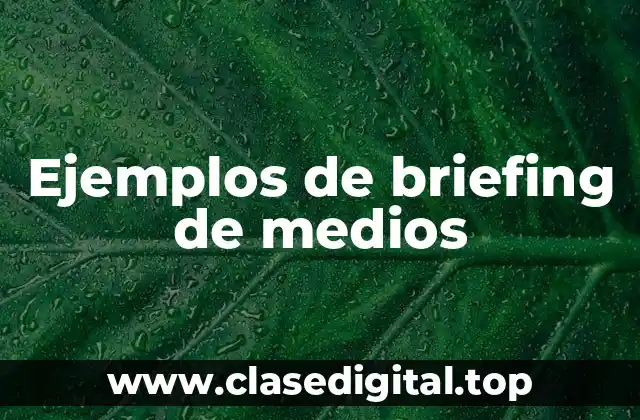Ejemplos de briefing de medios