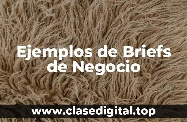 Ejemplos de Briefs de Negocio