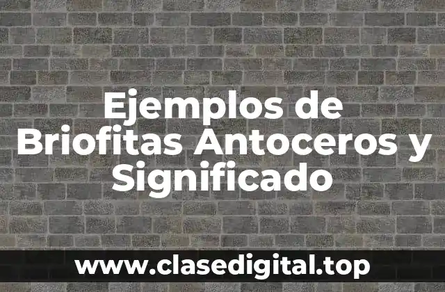Ejemplos de Briofitas Antoceros y Significado