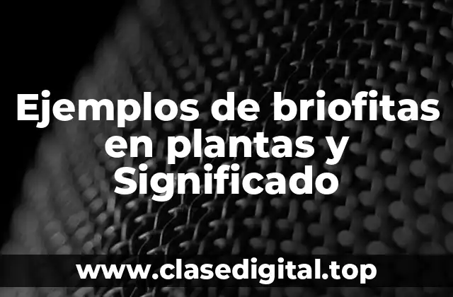 Ejemplos de briofitas en plantas y Significado